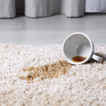 South Jersey Area Rug Cleaners