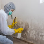 South Jersey Mold Remediation