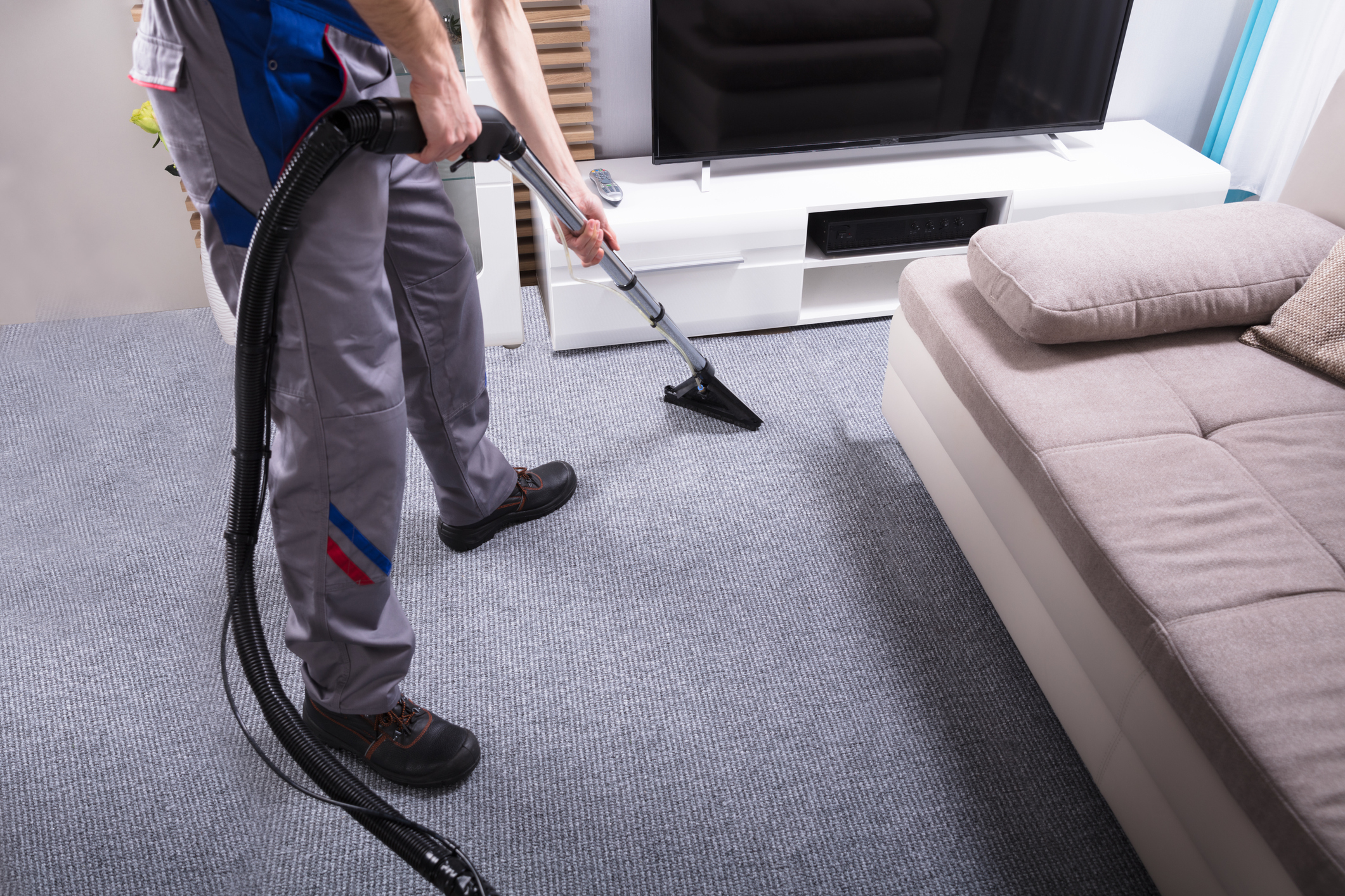 South Jersey Carpet Cleaning